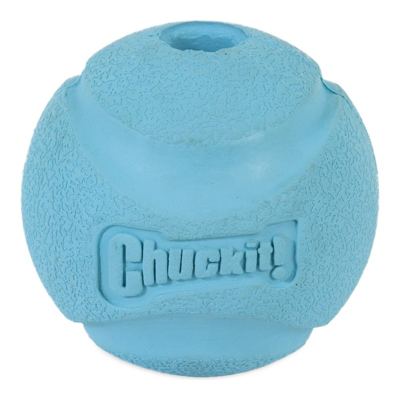 Chuckit! Fetch Ball Köpek Oyun Topu